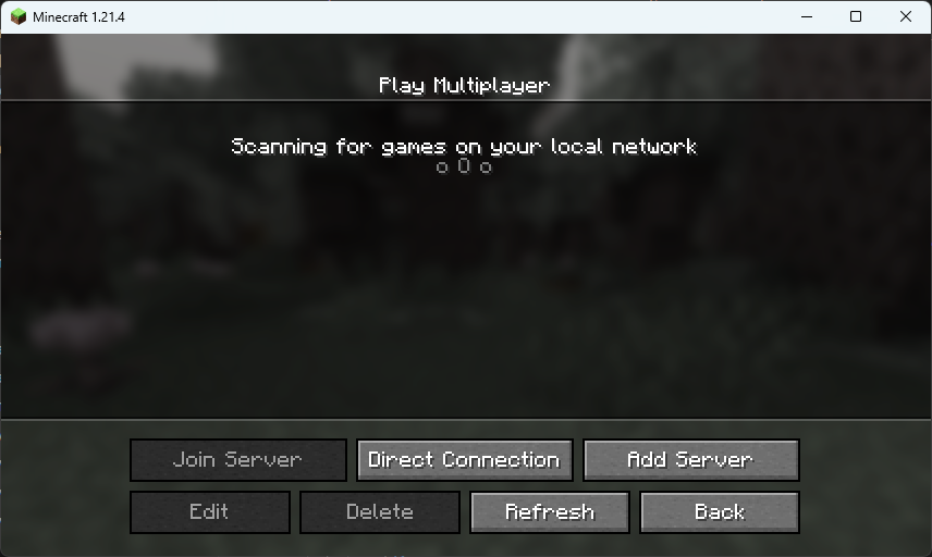 Minecraft empty multiplayer server list