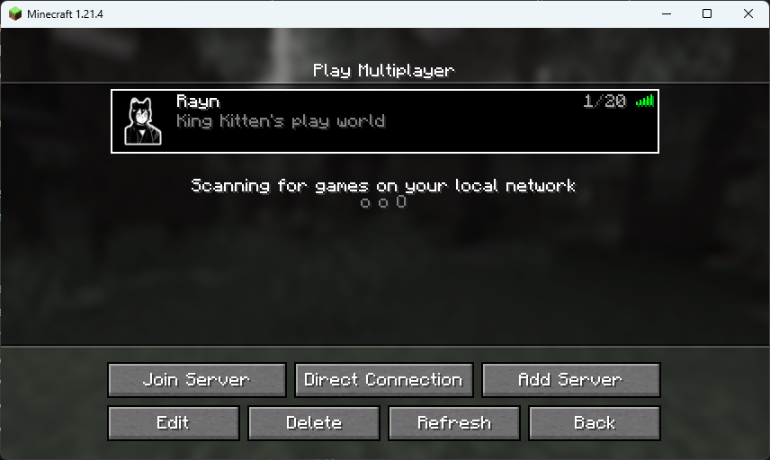 Minecraft server list with mc.rayn.gg added