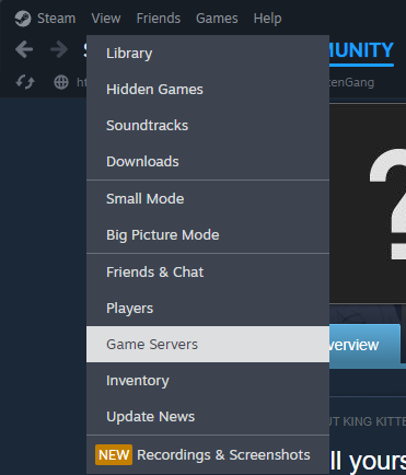 Steam view menu